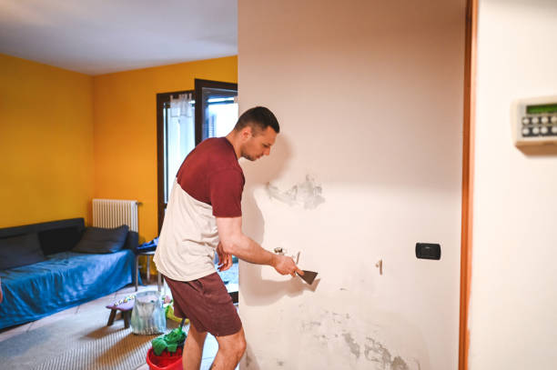 Best Insurance-Related Mold Remediation in Pottsgrove, PA